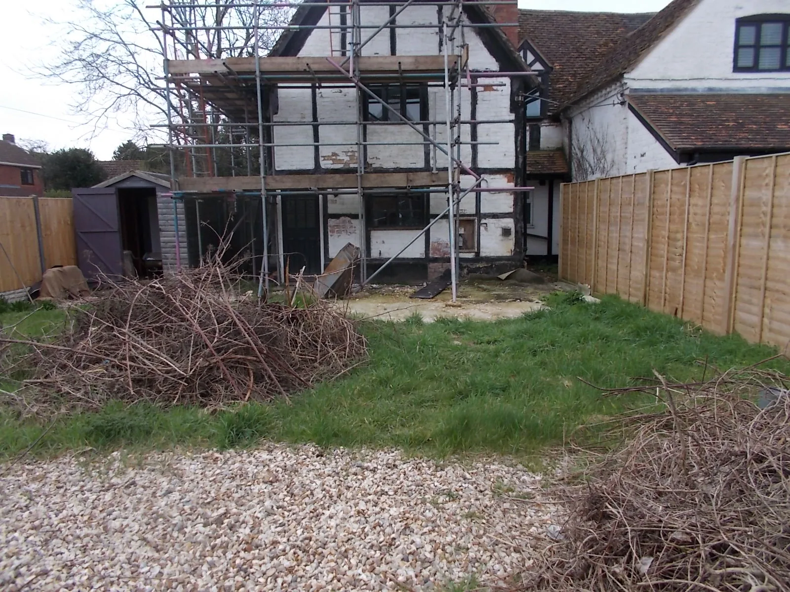 Rear elevation under scaffolding with an overgrown garden